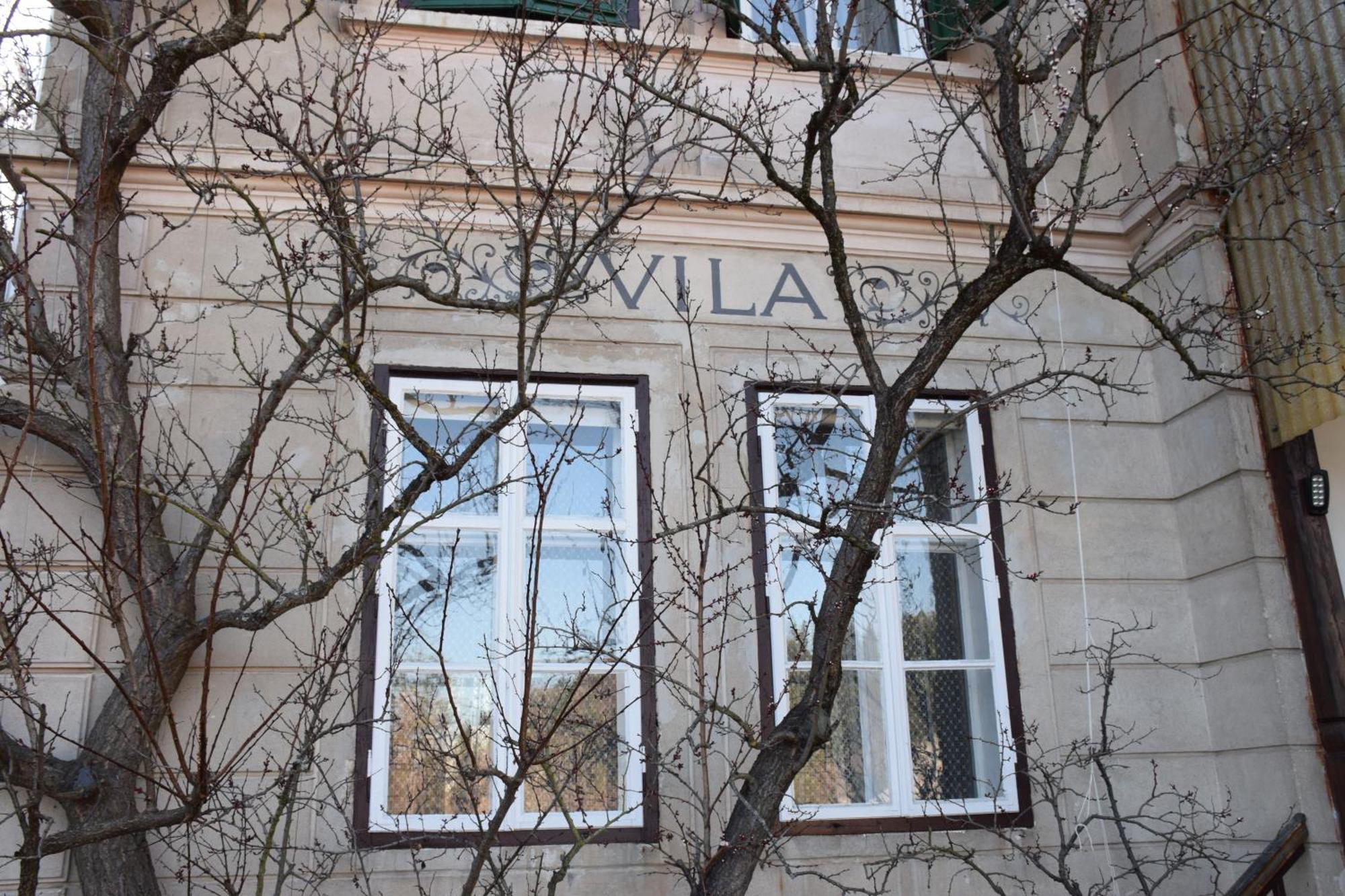 Vila Cerne ブレッド エクステリア 写真